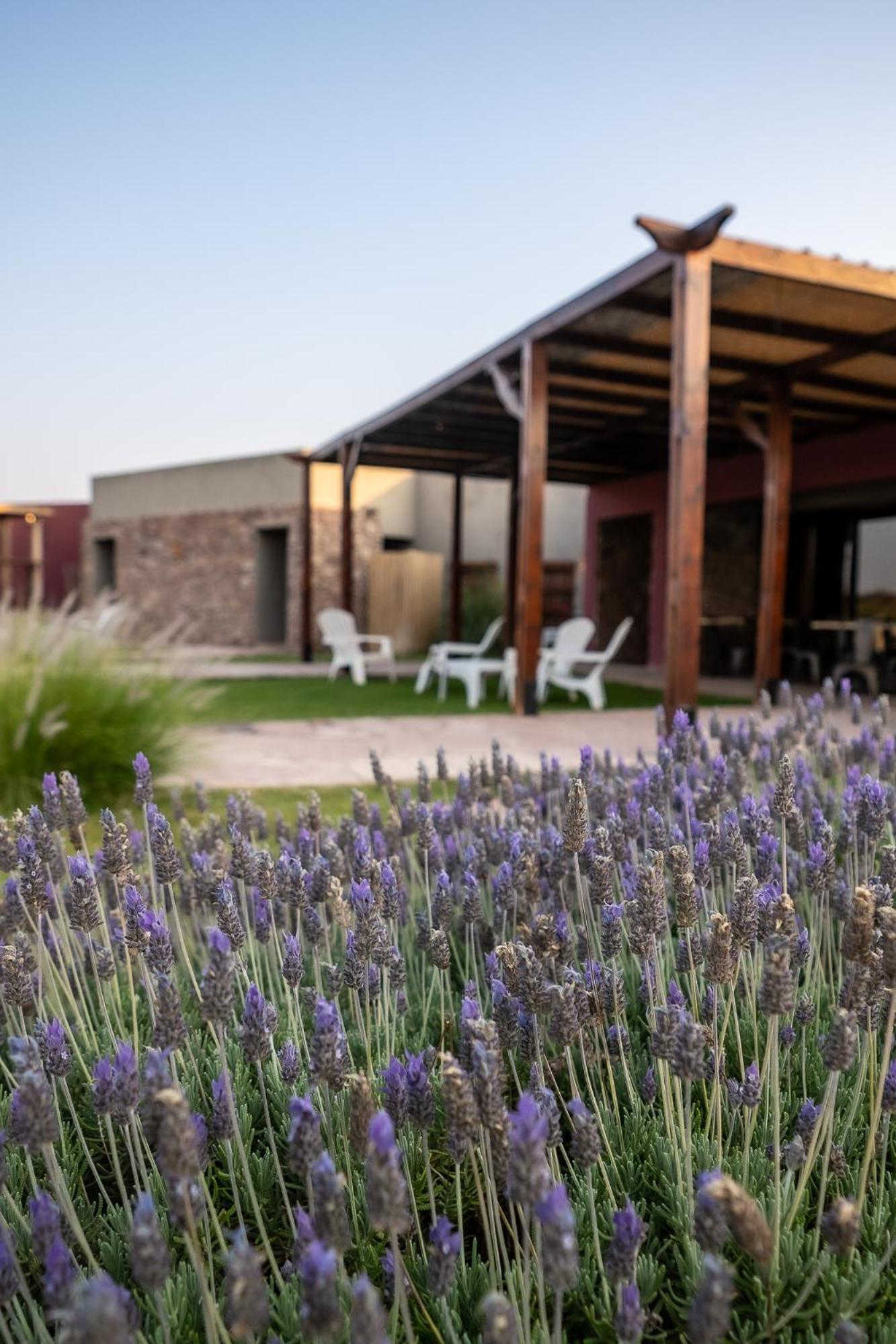 Hotel Castillos De Cafayate Dış mekan fotoğraf