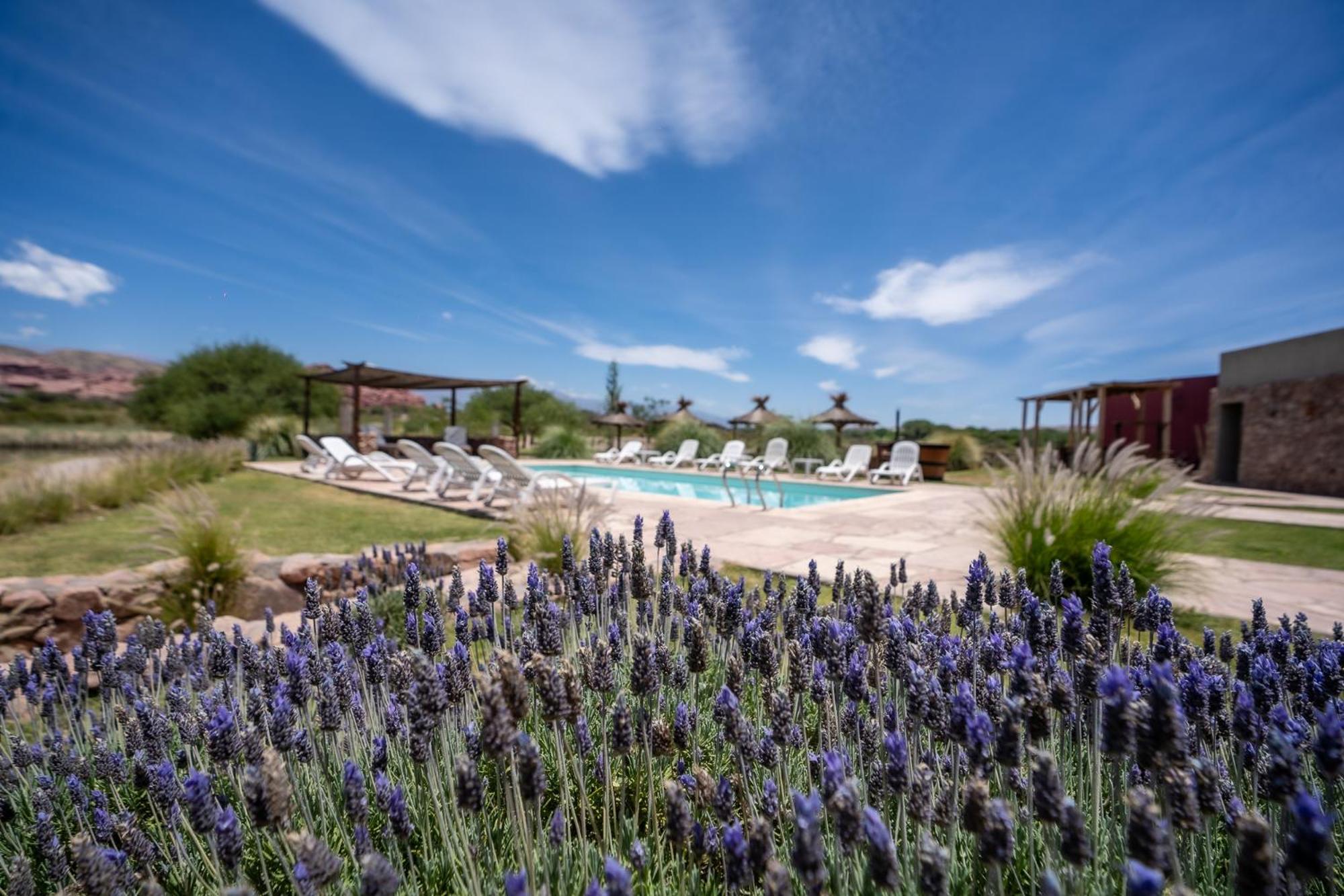 Hotel Castillos De Cafayate Dış mekan fotoğraf